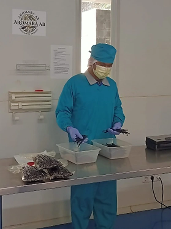 4. Quality Checking & Packing Stage — 1