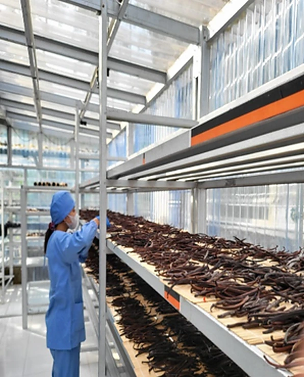 3. Cured in an Enclosed Greenhouse — 2