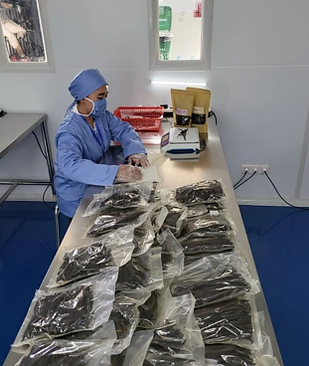 4. Quality Checking & Packing Stage — 2
