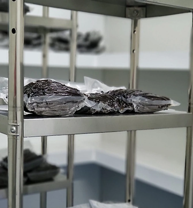 4. Quality Checking & Packing Stage — 3