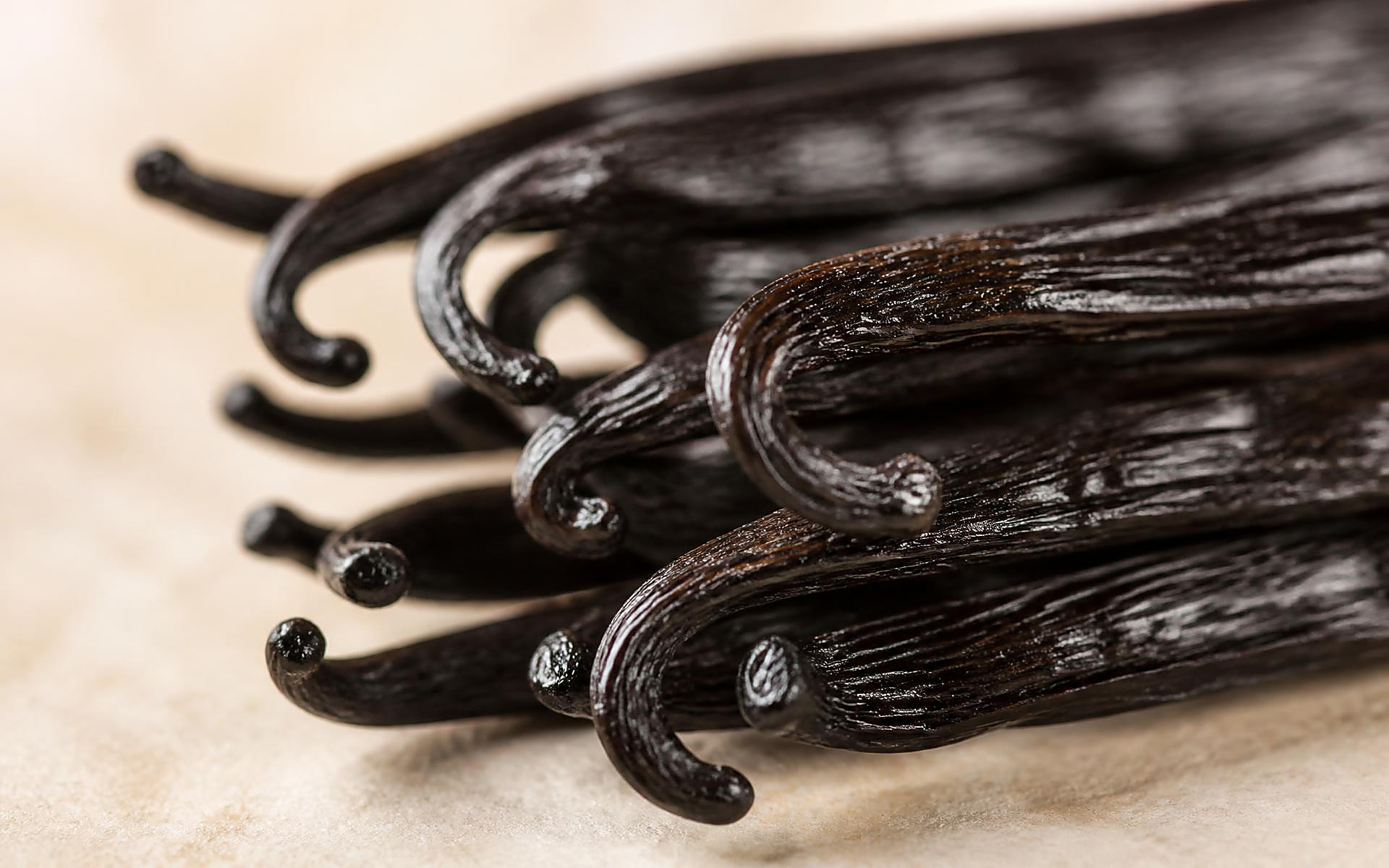 Cured vanilla beans with flower